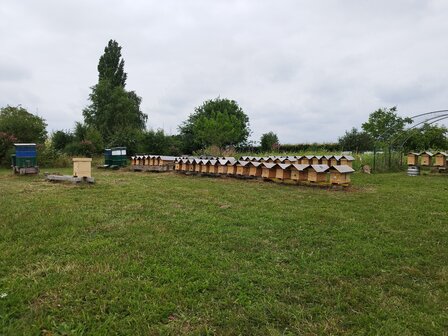 Voorschot Simplex 5R 